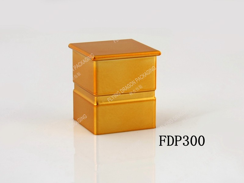FDP300.jpg